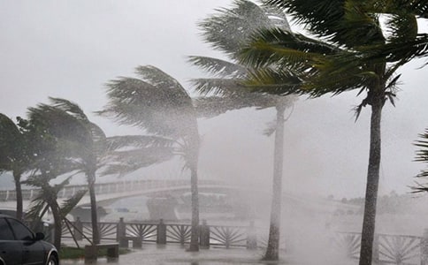 ����̨�������15ƪ[����]