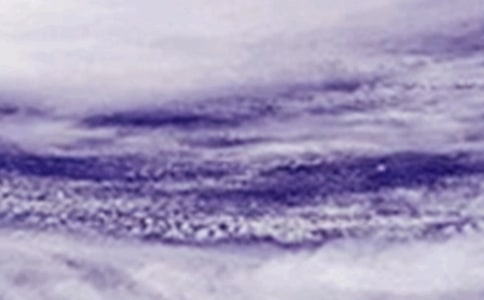 ̨��п�����