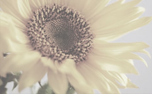 ���Ƽ���̫������������ƪ