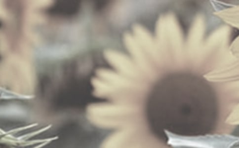 ̫��������