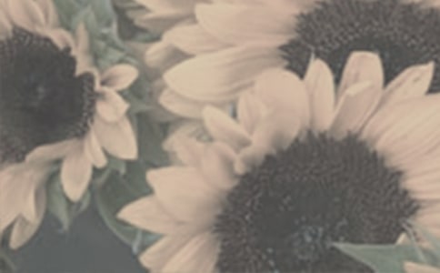 ̫��������4ƪ