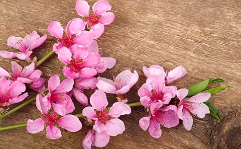 ���ȣ��һ���������15ƪ