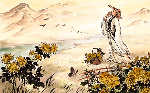 ���꼶�²�ڶ���Ԫ��Ԩ���������˵��������