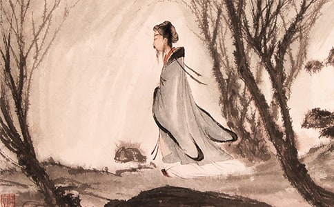 �߽���Ԩ������