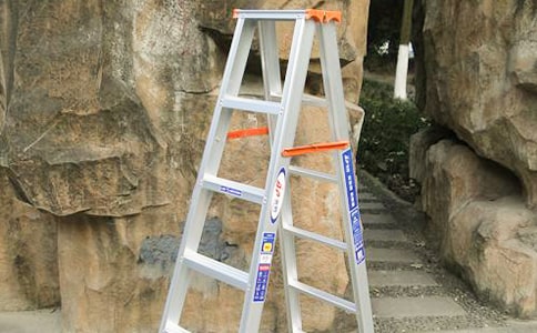 �����������������ӡ��̰�5ƪ