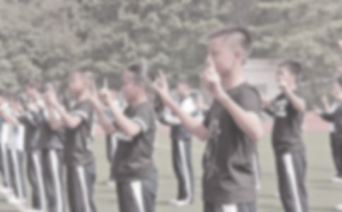 Сѧһ�꼶������ѧ�����ܽ�