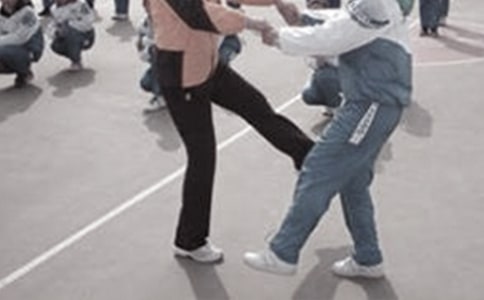 ѧУ������ѧ�����ƻ�13ƪ