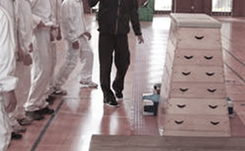 ѧУ������ѧ�����ƻ�(��ѡ10ƪ)