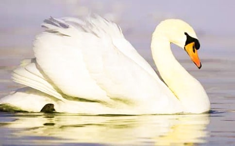 �������������