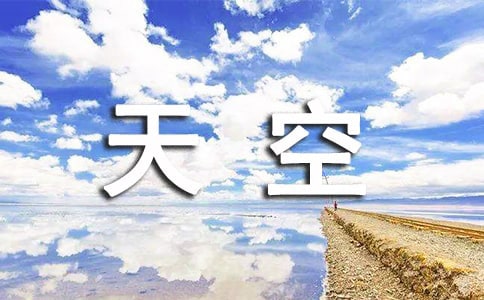 ʮ������������