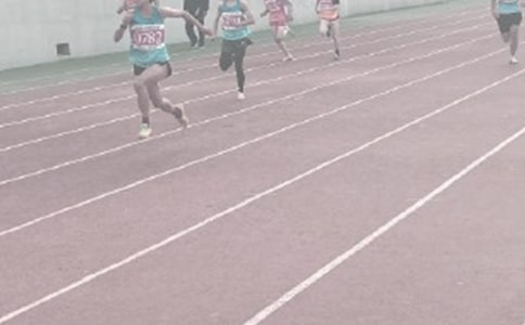 �ﾶѵ�������ܽ�