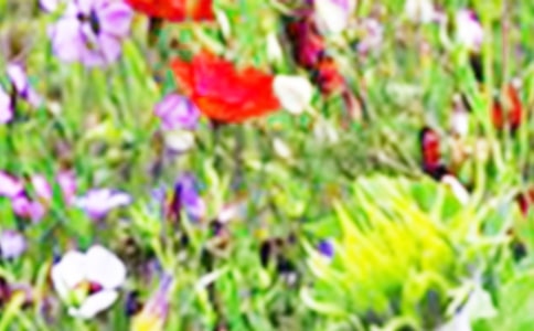 ʵ�õ���������Ұ������ƪ