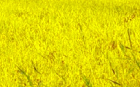 ��ͨ�ã���Ұ��������