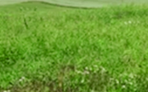 ��Ұ��������