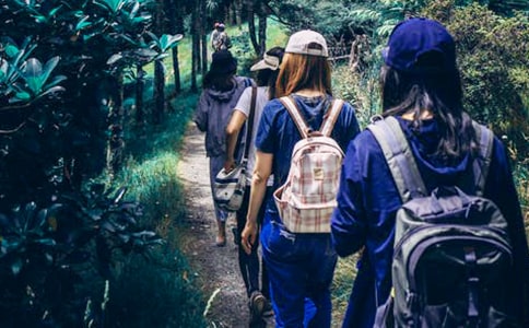 �۸�ͬѧ�ļ����鷶��