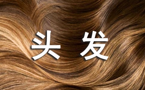 ��ͷ�����ĺϼ�15ƪ