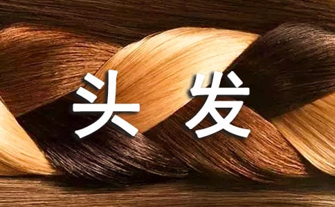 С�����������ͷ���̰�