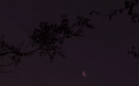 2023��򵥵�����ϵ����������¼�����54��