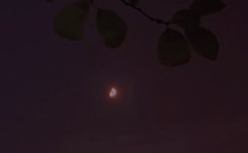 �й����õ�����������¼����65��