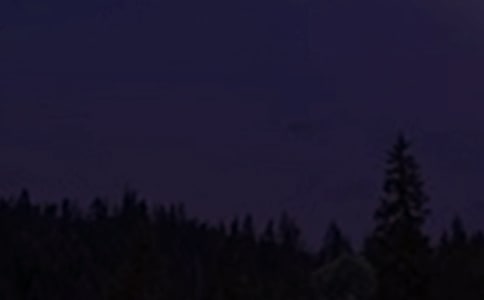 ����������������������¼����69��