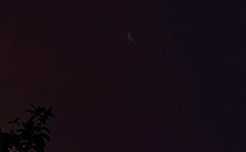 2023��ͨ������������¼32��