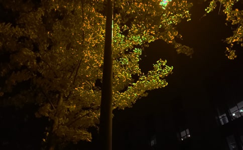 2022�꾭��������������¼�󼯺�59��