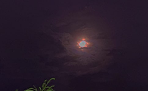 2024��ÿ��һ������������¼����81��