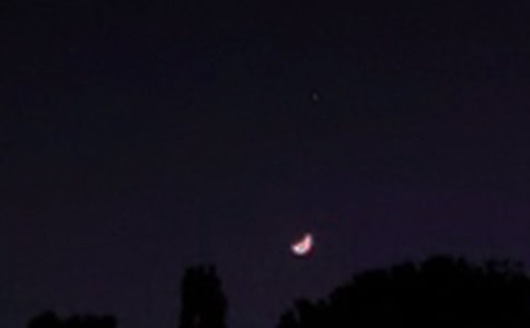 ������ܰ������������¼29��