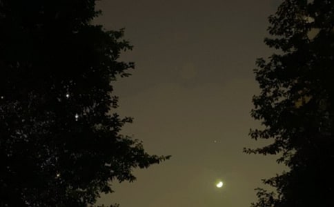 ���������ľ���Ψ��