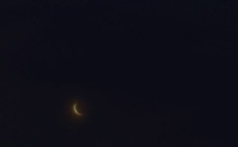 ��ѡ��ů������������¼41��