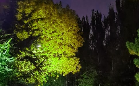 2023�꾫ѡ������¼ժ¼88��