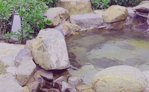 ����Ȫ����15ƪ[��ѡ]