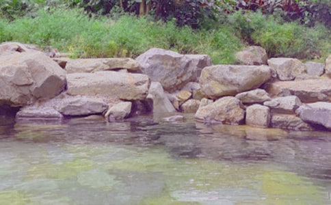 ��ʱ��������� ������������ɫ ȫ�������Ȫ����ʾ������