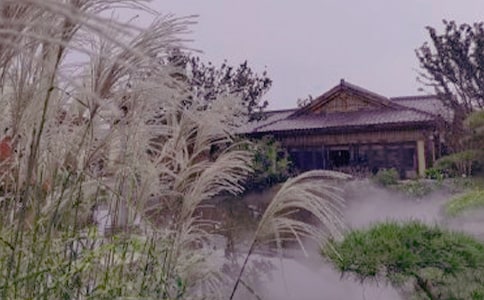 ����Ȫ����14ƪ