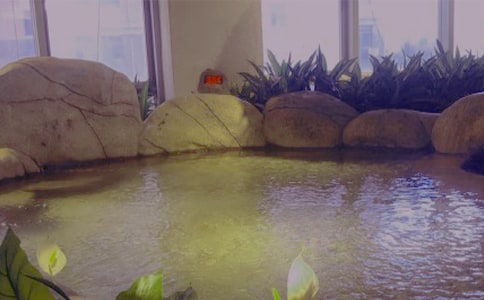 ����Ȫ����[��ѡ15ƪ]