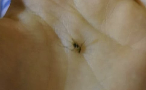 �������������