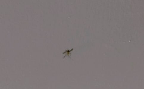 ����������(����15ƪ)