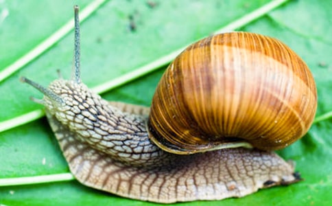 С��ţ����300��