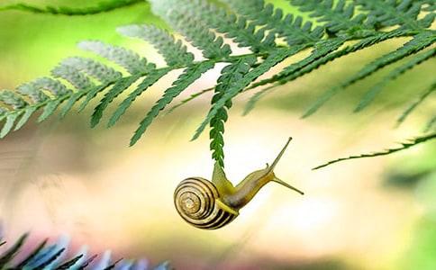 �а���������̰�����ѧ��˼���������ţ��