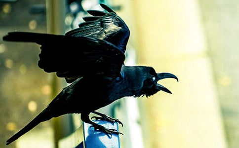 19����ѻ��ˮ��