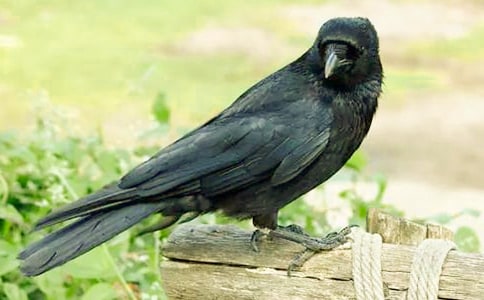 23����ѻ��ˮ��