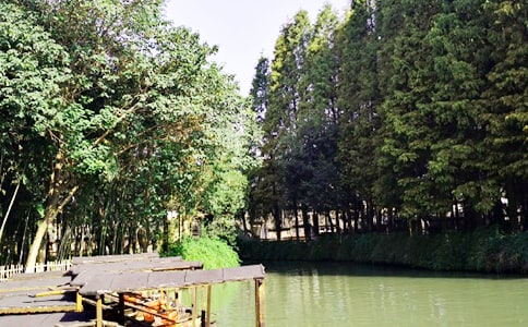 ��д���������