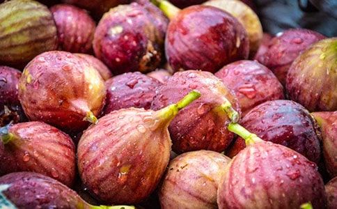 �޻������ģ�����15ƪ��