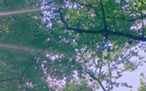 ��������Ȧ�簲����40��