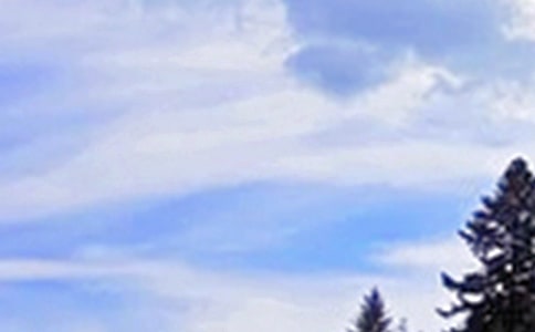 �������������簲��¼