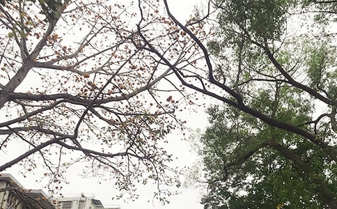 �������簲��¼