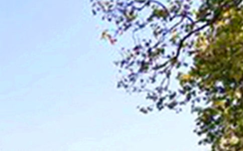 ����ů���簲���ӣ���ѡ80�䣩