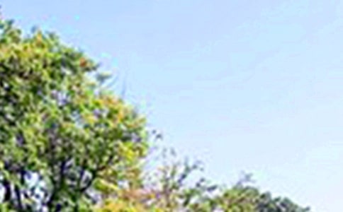 �����簲��¼40�侫ѡ