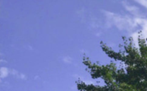 �������������簲��¼����69��