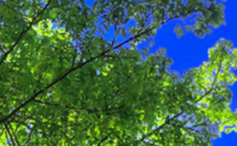 ��������Ȧ�簲��¼��ȫ����ѡ70�䣩